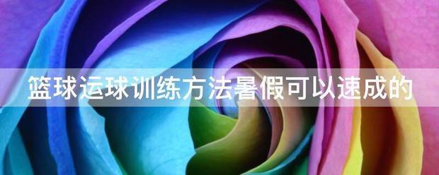 篮球训练一周训练计划表_2